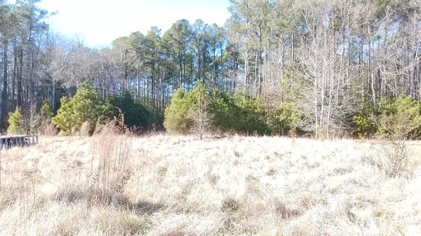 Lot 24 SCARLET DRIVE, New Church, VA 23415