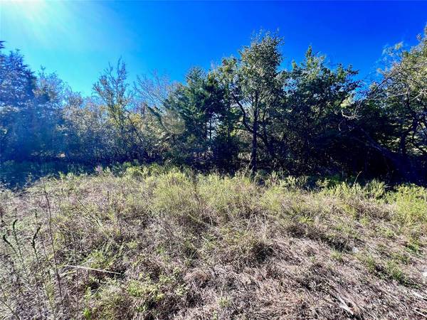 Streetman, TX 75859,Lot 15R-2 Hout Bay Road