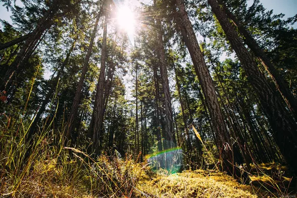 Gabriola Island, BC V0R 1X1,Lt 10 Sitka Grove