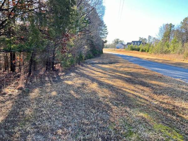 Lot 19 Osprey Lane, Buffalo Junction, VA 24529