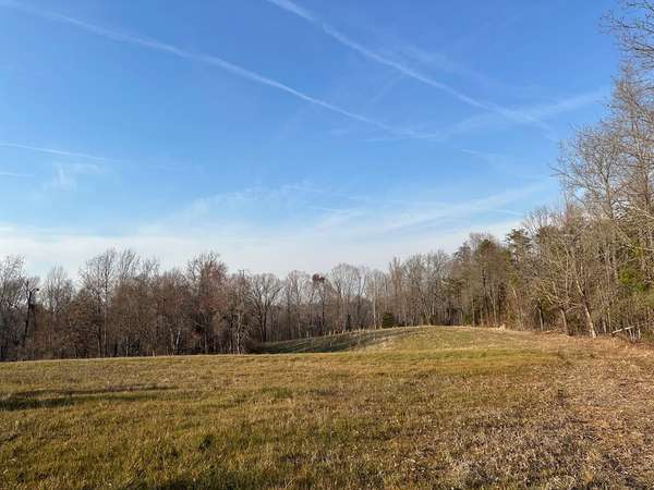 133.9 AC Huell Matthews Highway, Alton, VA 24520