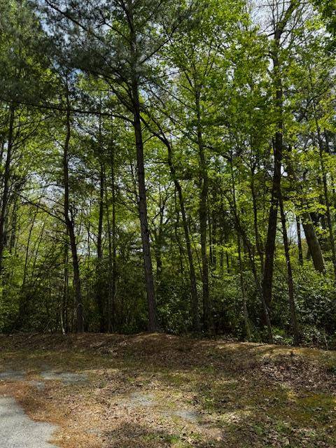 Lot 10 Red Head LN, Heathsville, VA 22473