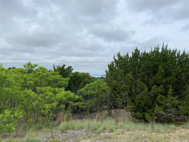 Lot 663 Balcones Lane, Possum Kingdom Lake, TX 76449