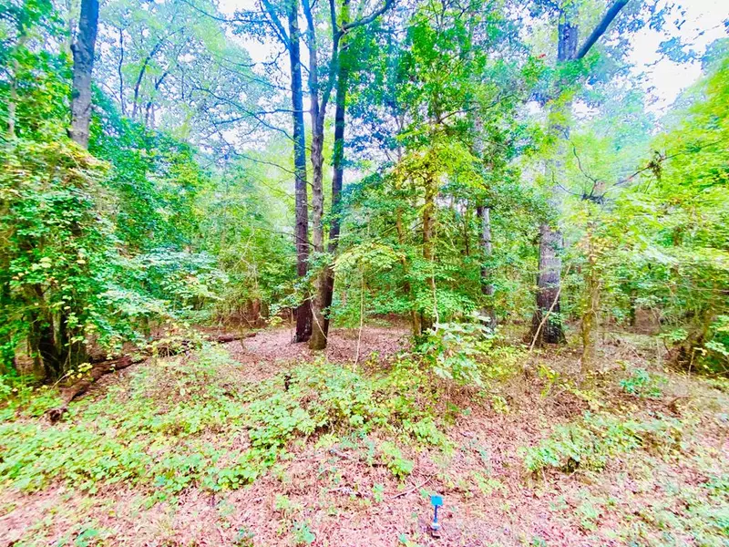 LOT 63 Senora RD, Lancaster, VA 22503