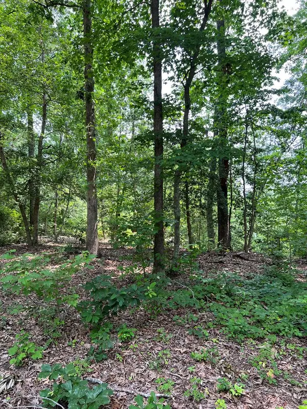 Heathsville, VA 22473,Lot 20-3 Wicomico WAY