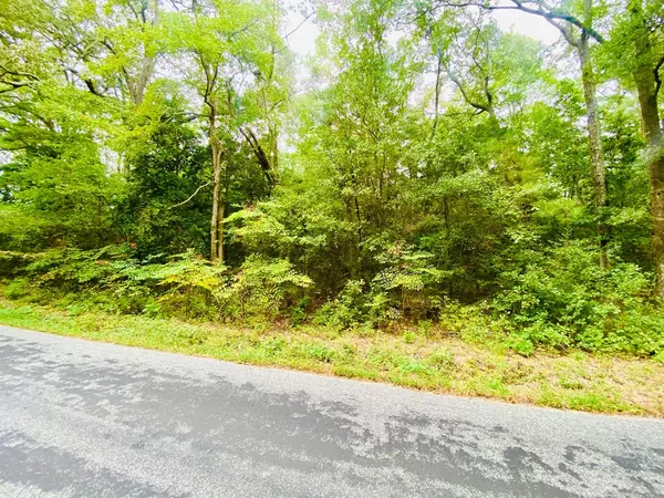 Lancaster, VA 22503,LOT 63 Senora RD