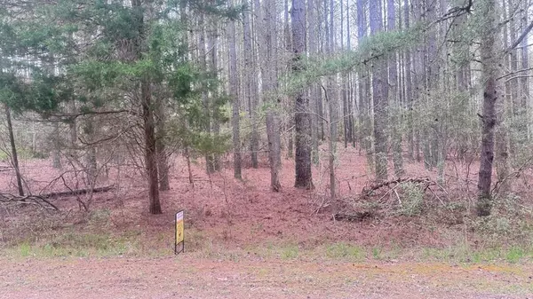 Heathsville, VA 22437,Lot 96 Knights Landing DR