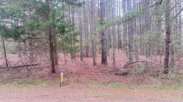 Lot 96 Knights Landing DR, Heathsville, VA 22437