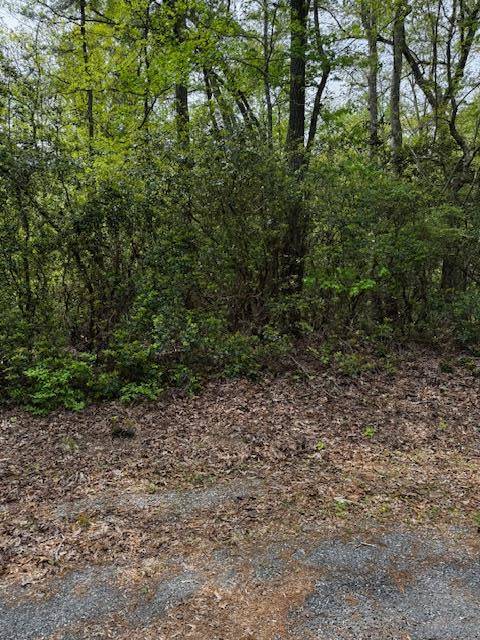 Lot#42 Knights Landing DR, Heathsville, VA 22473