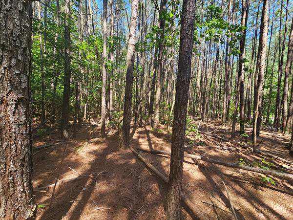 Lot 41 Stoneman LN, Heathsville, VA 22473