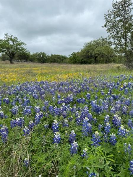 TBD Hidden Cove Trail, Glen Rose, TX 76043