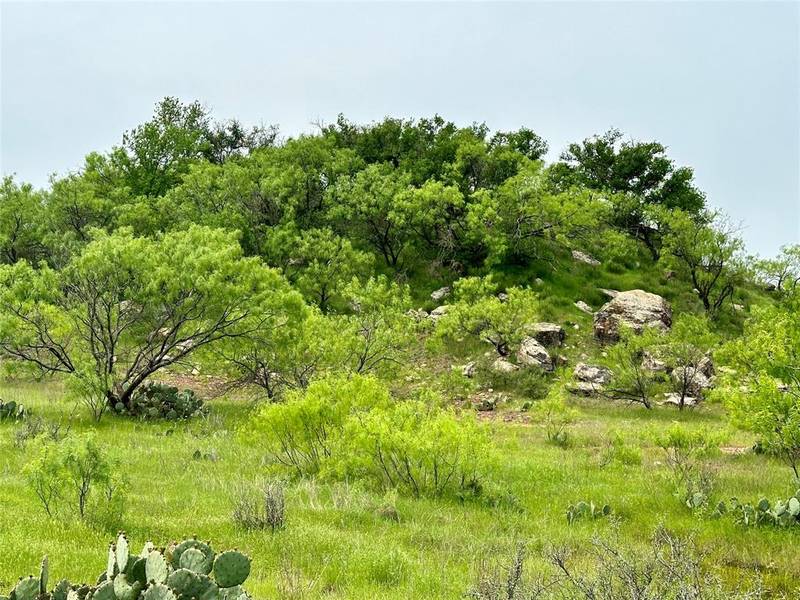 TBD FM 175 Highway, No City, TX 76365