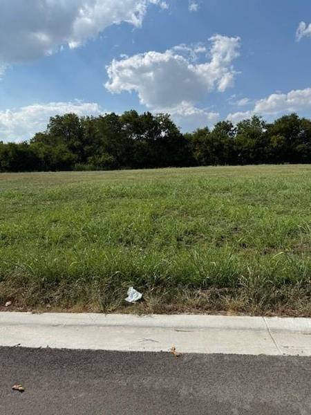 TBD LOT 8 E Columbus Street, West, TX 76691