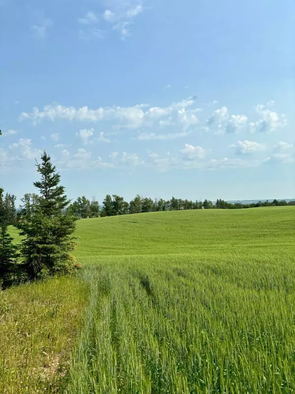 Rural Lacombe County, AB T0C0J0,On Range Road 3-0