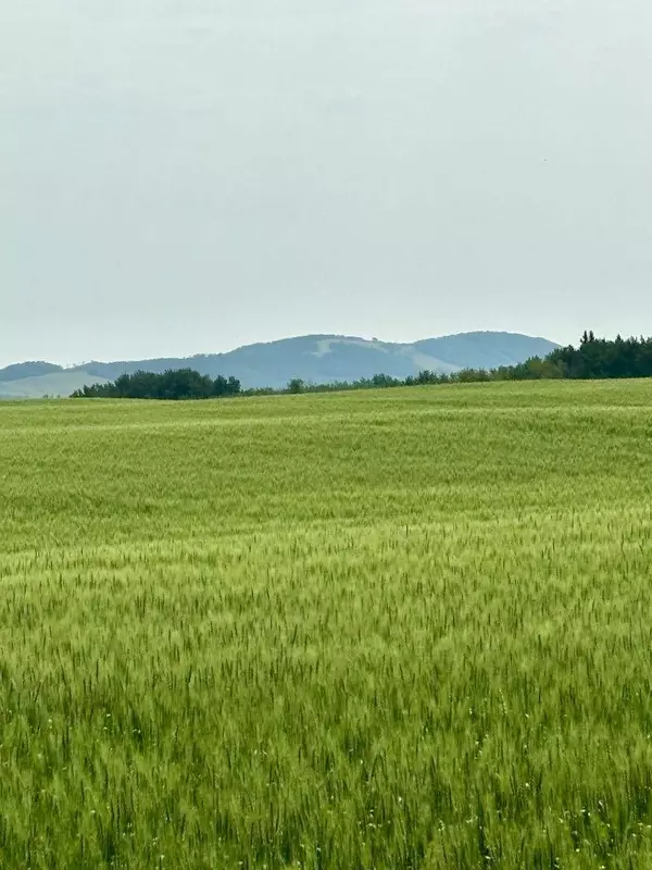 Rural Lacombe County, AB T0C0J0,On Range Road 3-0