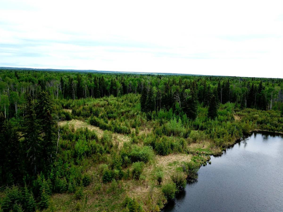 Rural Saddle Hills County, AB T0H 3V0,NW-19-81-9-W6 Highway 681