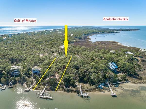 1235 Avocet Ln, St. George Island, FL 32328