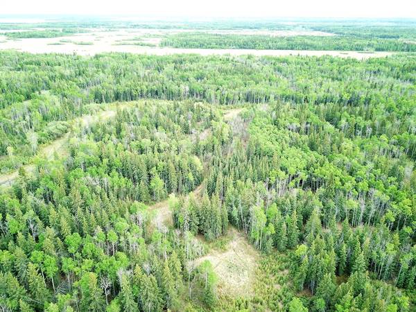 Rural Saddle Hills County, AB T0H 3V0,NW-19-81-9-W6 Highway 681