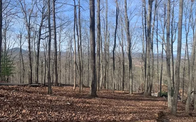 Blairsville, GA 30512,LOT7B Timber Bend