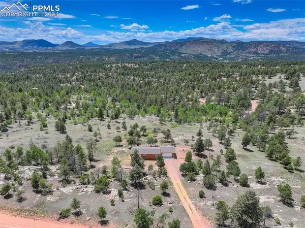 Florissant, CO 80816,317 Chateau Vista DR