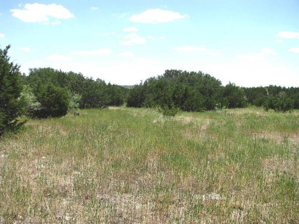 Evant, TX 76525,TBD PR4218