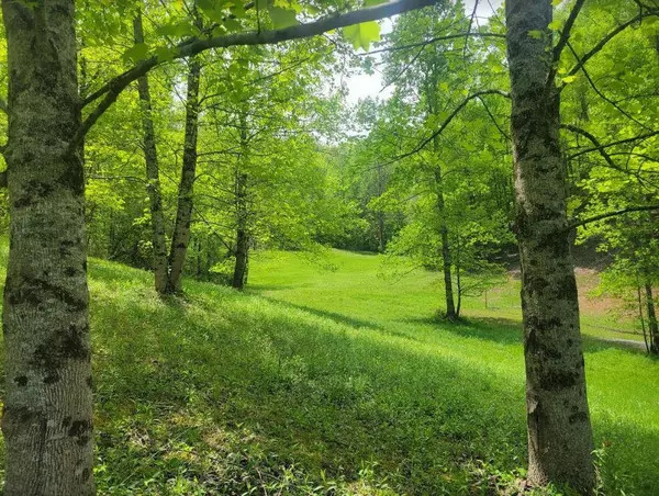 Lot 1-4 Stewart Cove Road, Hayesville, NC 28904