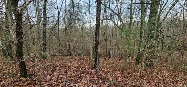 Murphy, NC 28906,9 Wilderness Creek Way