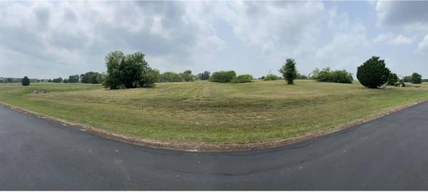 Streetman, TX 75859,Lot 17 Open Water Way