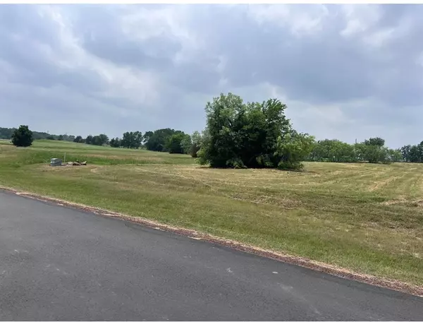 Streetman, TX 75859,Lot 17 Open Water Way