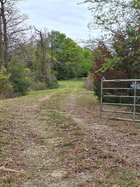 Thornton, TX 76687,FM 3371 Fm-3371 Path