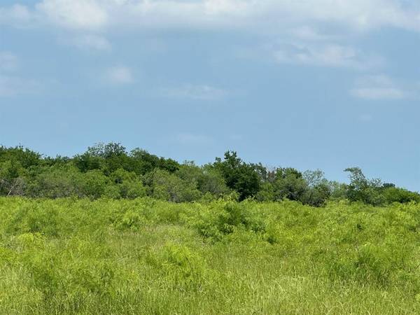 TBD 21.5 acres Fcr 1020, Wortham, TX 76693