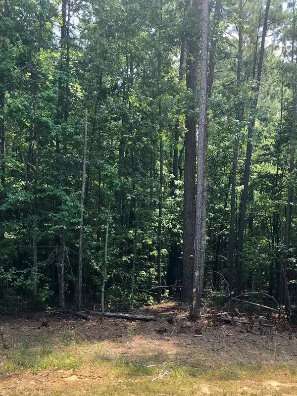 Lot 79 Rollingwood Court, Littleton, NC 27850