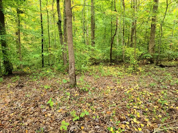 Littleton, NC 27850,Lot 12 Hillside Dr