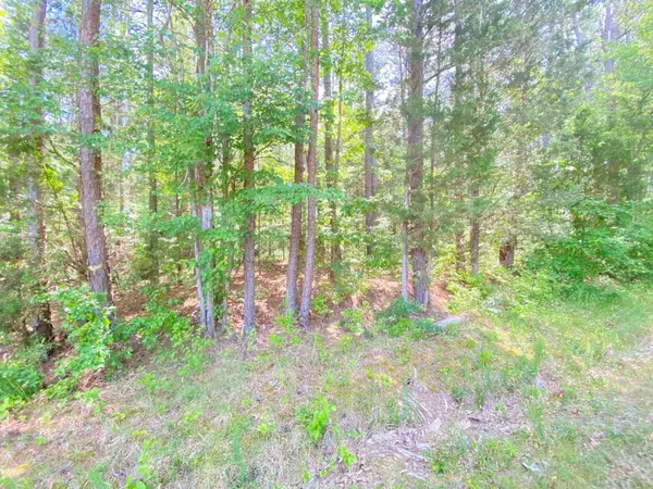 Lot #4 Gordan Lake Road, South Hill, VA 23970