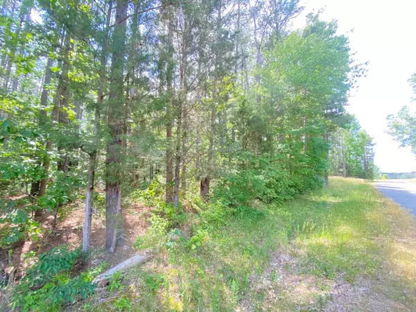 South Hill, VA 23970,Lot #4 Gordan Lake Road