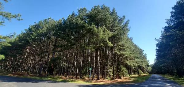 Lot 56 Pinewood Trail, Boydton, VA 23917