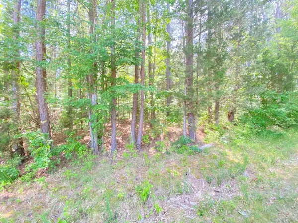 Lot #5 Gordan Lake Road, South Hill, VA 23970