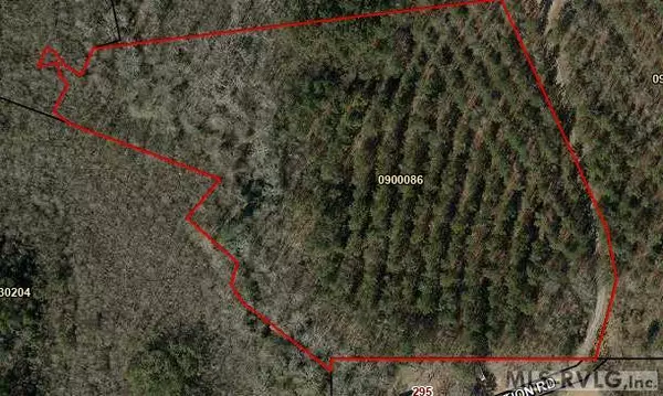 Lot 1 Nation Rd., Roanoke Rapids, NC 27870