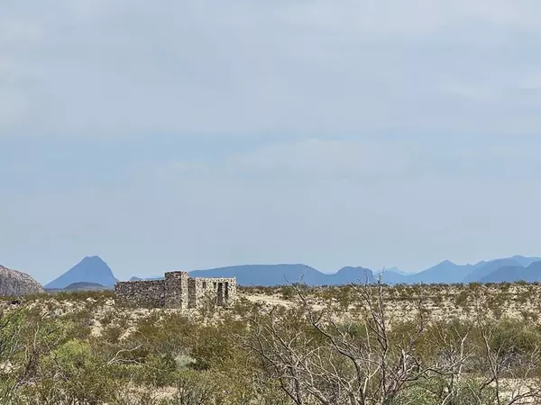 G116 Bad Bunny Rd., Terlingua, TX 79852