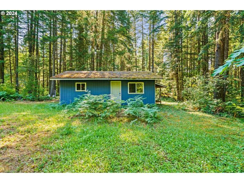 91131 POODLE CREEK RD, Noti, OR 97461