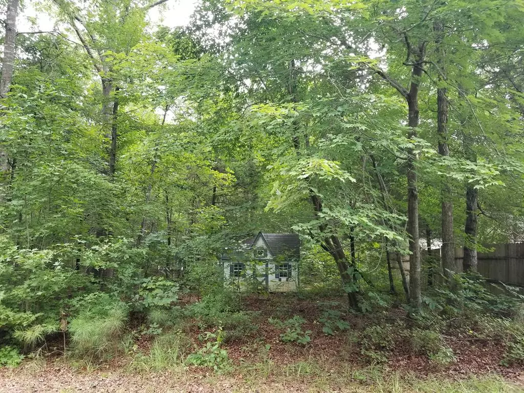 Macon, NC 27551,Lot I-10 Moonlight Ct