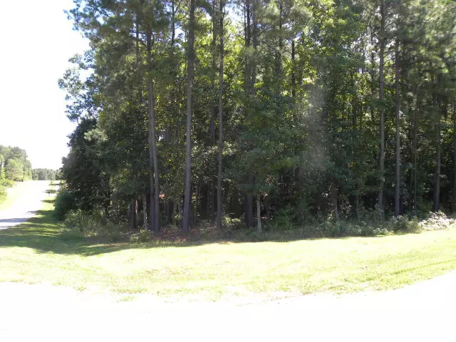 Roanoke Rapids, NC 27870,Lot 125 Overlook Drive