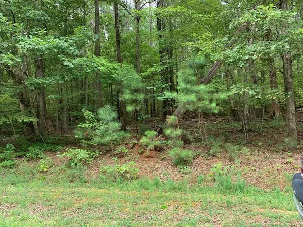 Macon, NC 27551,Lot 26 Gordan Lane