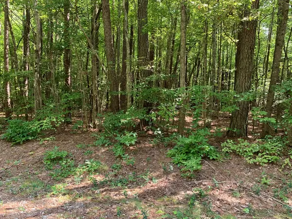 Macon, NC 27551,Lot 25 Holiday Drive