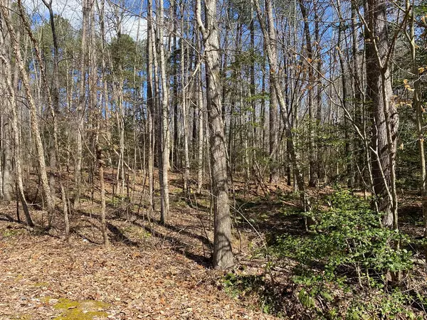 Littleton, NC 27850,Lot 182A Plantation Dr.