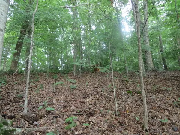 Boydton, VA 23917,Lot 53 Mountain Rock Trail