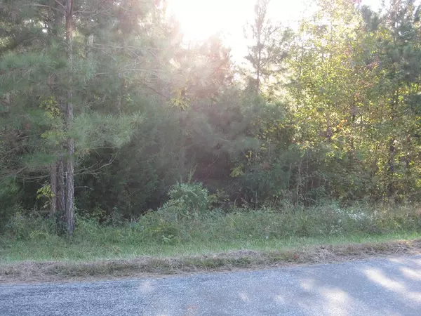 Lot 2 Hall Road, La Crosse, VA 23950