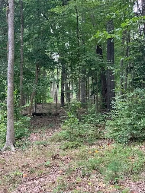 Boydton, VA 23917,LOT 33 Thornton Place