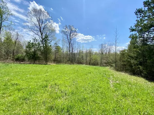 52.92 Ac Hunters Lane, Chase City, VA 23924