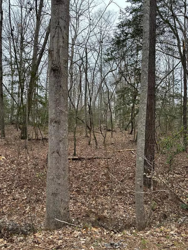 Lot 148 Plantation Drive, Littleton, NC 27850